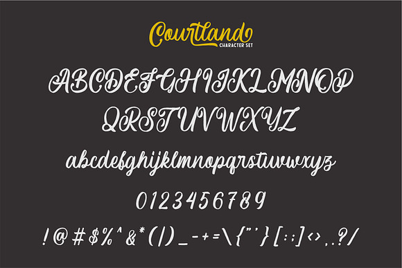 Courtland Handdrawn in Script Fonts - product preview 6