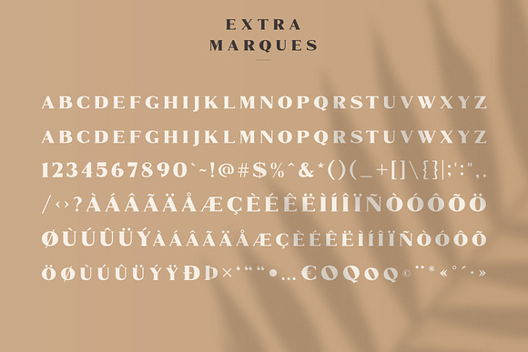 Jadyn Maria - Luxury Signature Font in Script Fonts - product preview 8