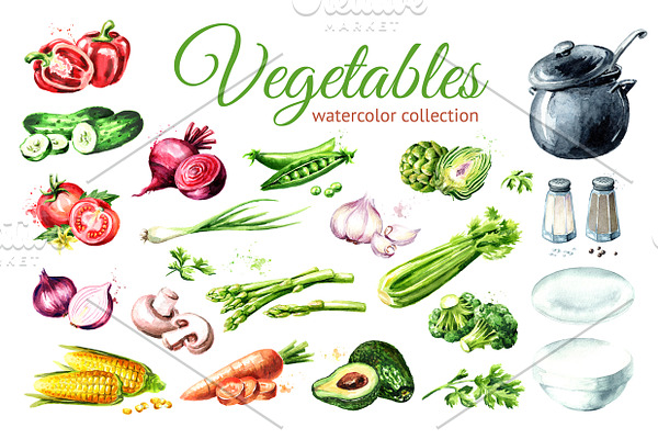 Vegetables. Watercolor collection