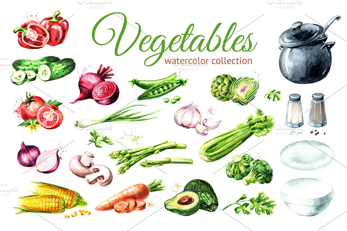 Vegetables. Watercolor collection in Illustrations - product preview 8