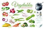 Vegetables. Watercolor collection