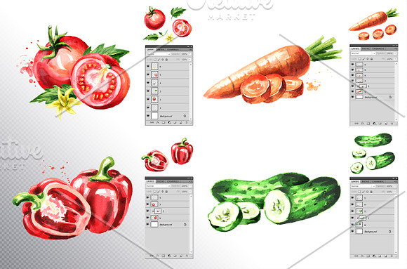 Vegetables. Watercolor collection in Illustrations - product preview 1