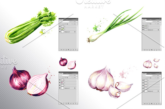 Vegetables. Watercolor collection in Illustrations - product preview 3