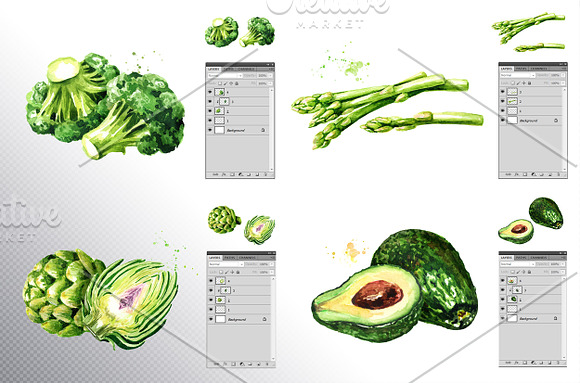 Vegetables. Watercolor collection in Illustrations - product preview 4