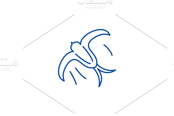Swallow line icon concept. Swallow