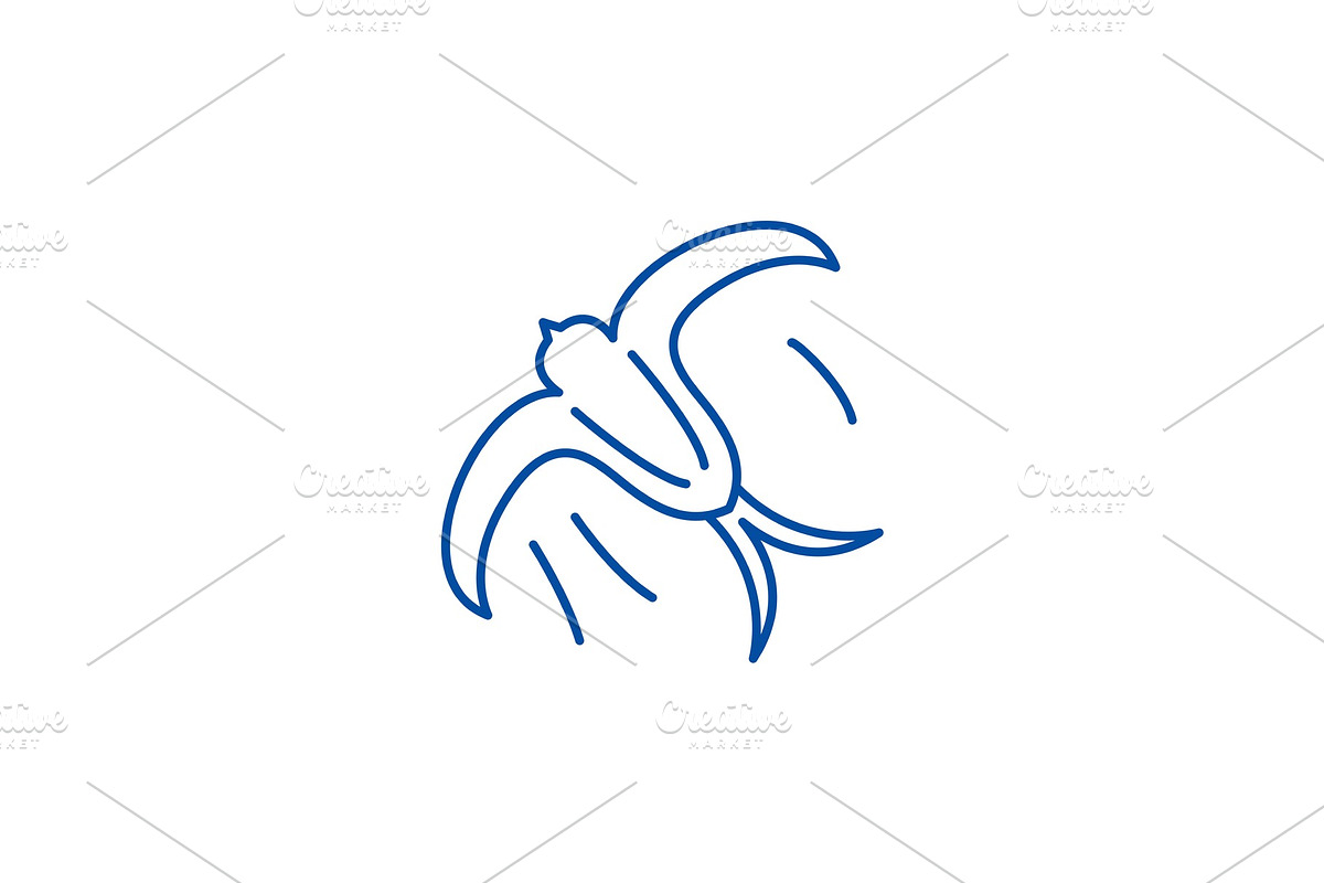 Swallow line icon concept. Swallow in Illustrations - product preview 8