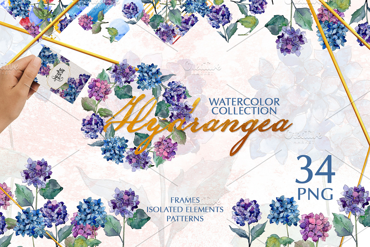 Hydrangea Watercolor png in Illustrations - product preview 8