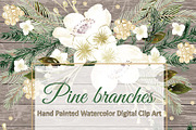 Watercolor mint hand painted clipart