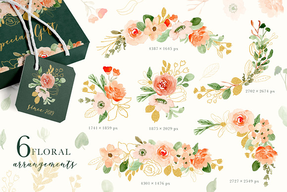 Classy Florals - Watercolor Clipart in Illustrations - product preview 1
