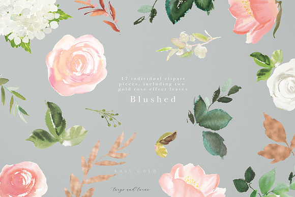 Blushed - Watercolor Floral Miniset in Illustrations - product preview 5
