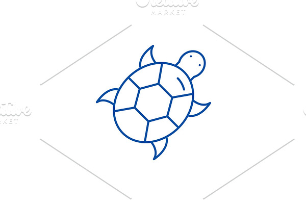 Turtle line icon concept. Turtle