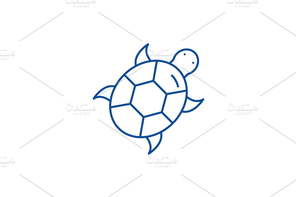 Turtle line icon concept. Turtle in Illustrations - product preview 8