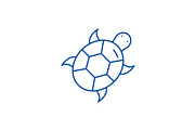 Turtle line icon concept. Turtle