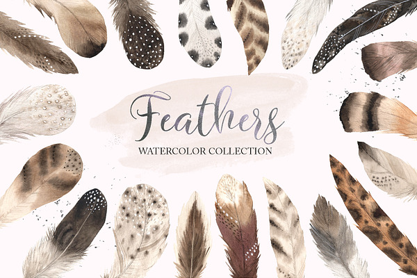 Watercolor Delicate Feathers Set