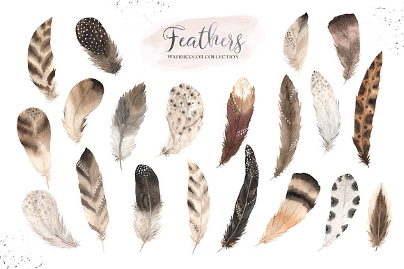 Watercolor Delicate Feathers Set in Illustrations - product preview 1