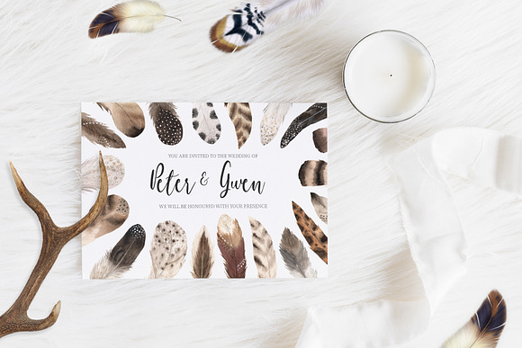 Watercolor Delicate Feathers Set in Illustrations - product preview 3