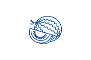 Water melon line icon concept. Water