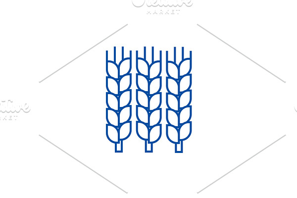 Wheat line icon concept. Wheat flat