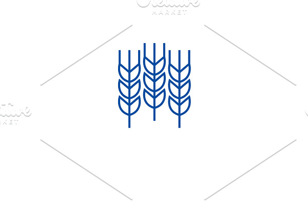 Wheat grains line icon concept