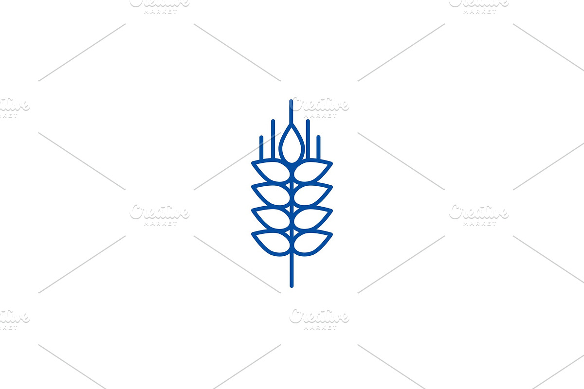 Wheat sprig line icon concept. Wheat in Illustrations - product preview 8