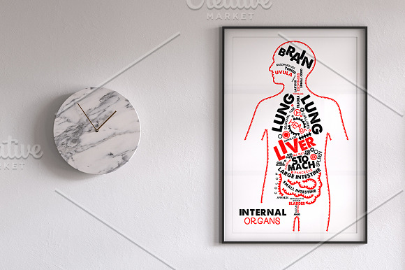 Human Anatomy Posters in Illustrations - product preview 1