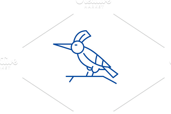 Woodpecker line icon concept