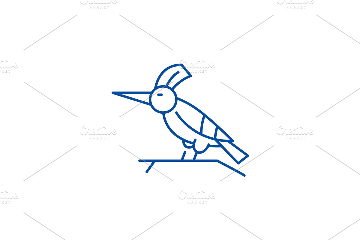 Woodpecker line icon concept in Illustrations - product preview 8