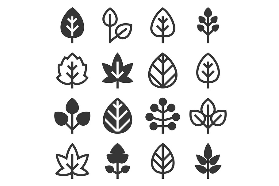 Leaf Icons Set on White Background