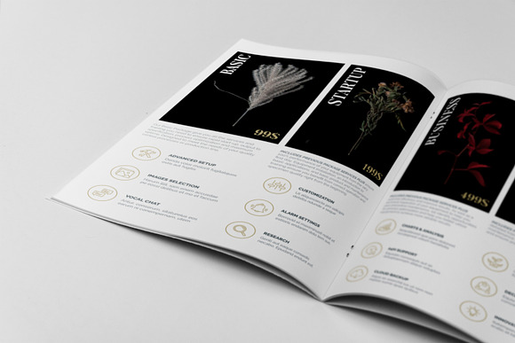 Project Proposal Contract & Invoice in Brochure Templates - product preview 2