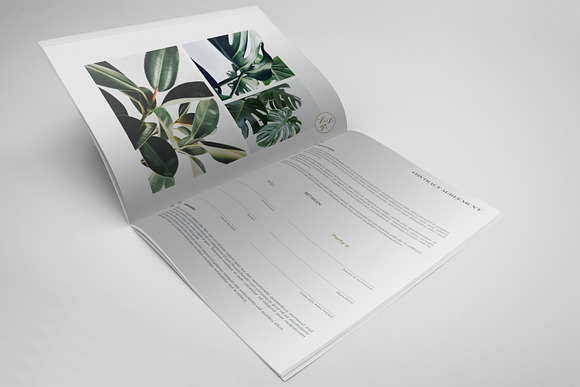 Project Proposal Contract & Invoice in Brochure Templates - product preview 5