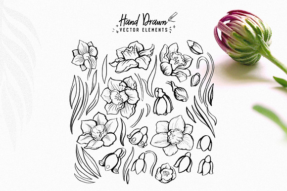 Spring Flowers in Illustrations - product preview 2