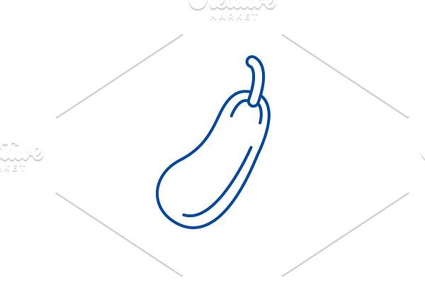 Zucchini line icon concept. Zucchini
