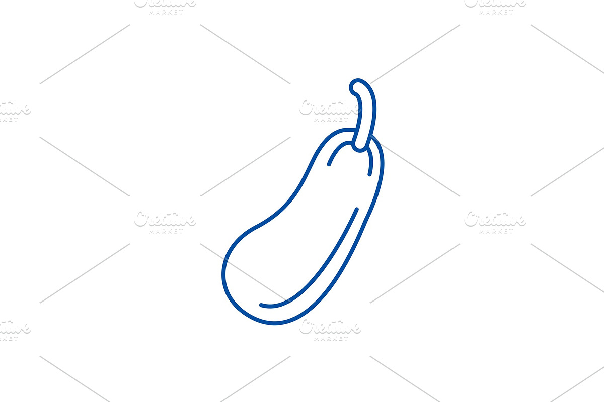 Zucchini line icon concept. Zucchini in Illustrations - product preview 8