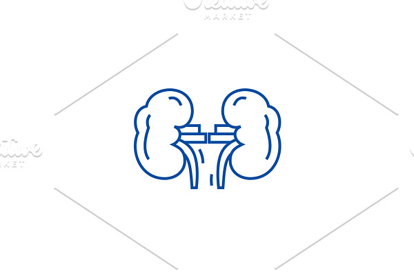 Kidneys line icon concept. Kidneys