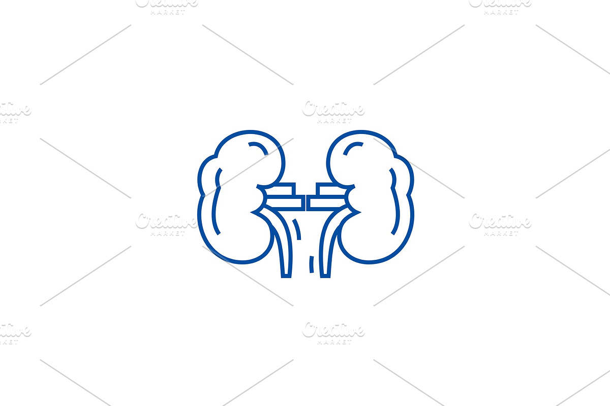 Kidneys line icon concept. Kidneys in Objects - product preview 8