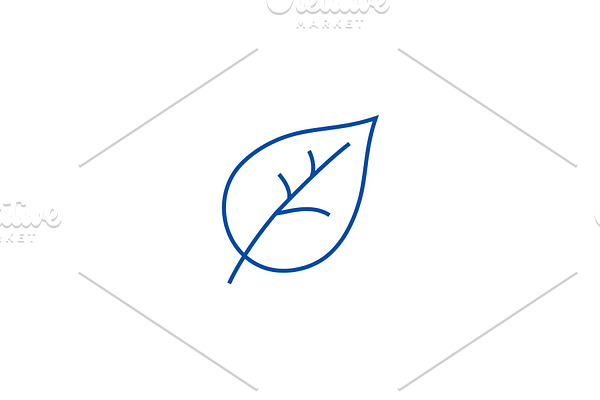 Leaf line icon concept. Leaf flat