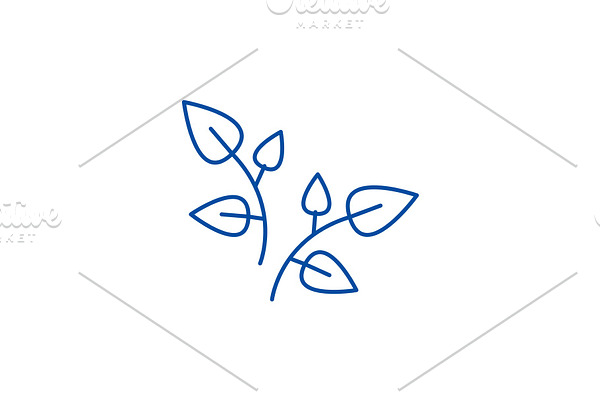 Leaf, branches line icon concept