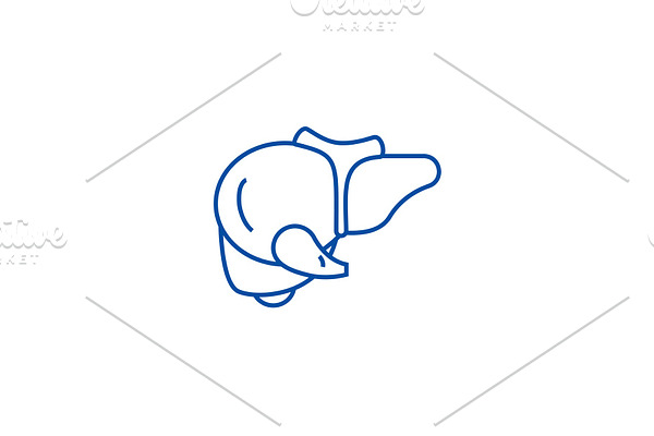 Liver line icon concept. Liver flat