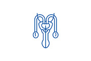 Male sexual organs line icon concept