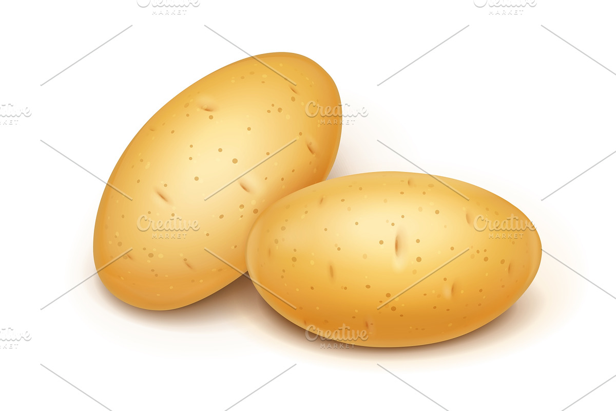 Two potatoes. Useful vegetable. in Illustrations - product preview 8
