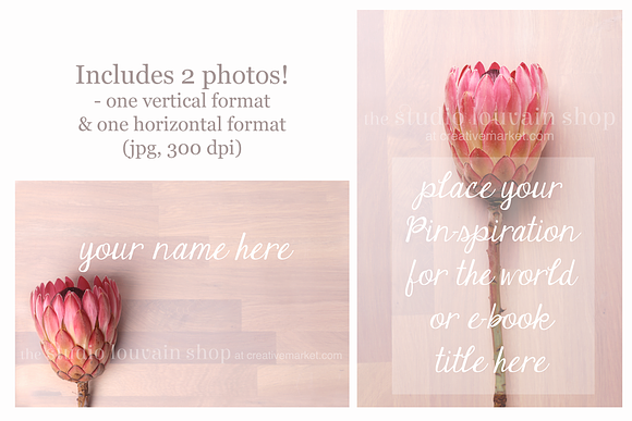 Styled Stock Photo - Protea Duo in Mockup Templates - product preview 1