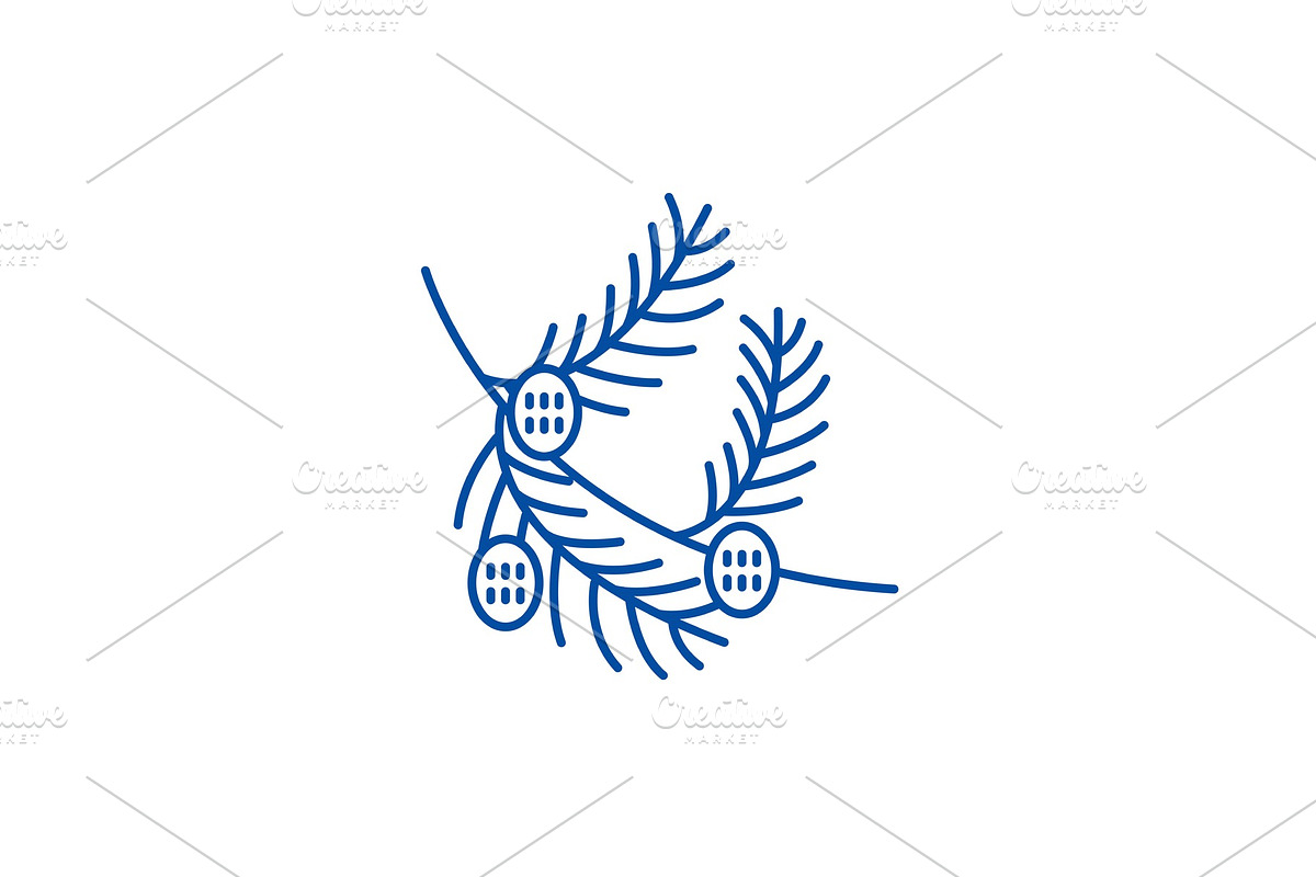 Fir tree branch with cones line icon in Objects - product preview 8