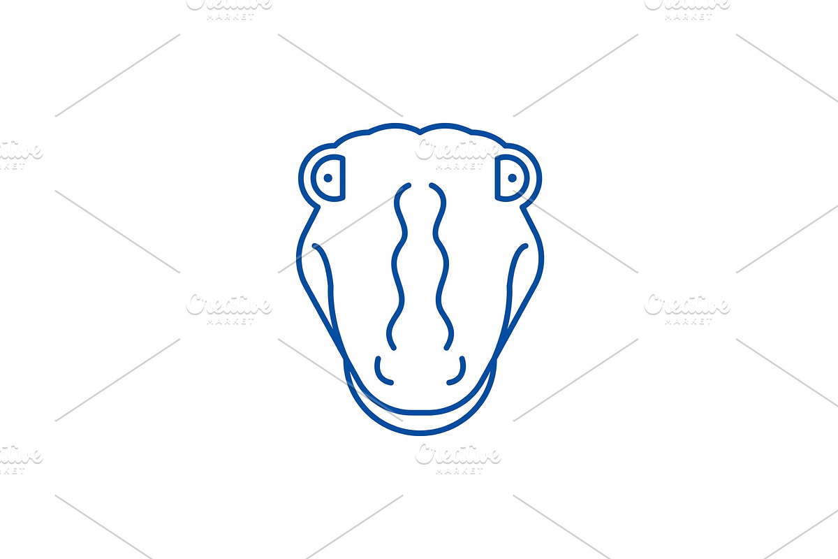 Funny crocodile line icon concept in Illustrations - product preview 8