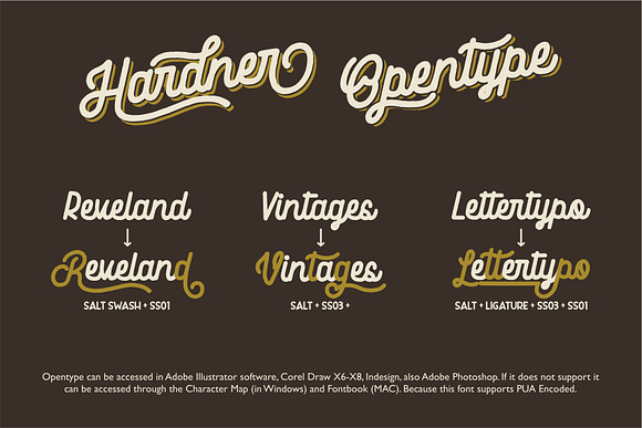 Hardner - Retro Fonts in Retro Fonts - product preview 4