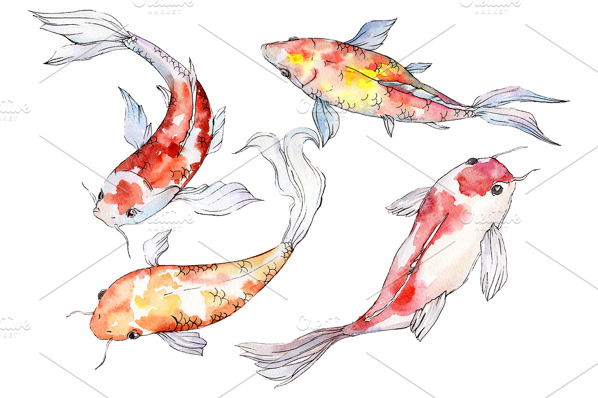 Goldfish-2 Watercolor png in Illustrations - product preview 8