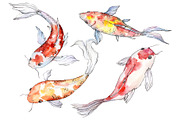 Goldfish-2 Watercolor png