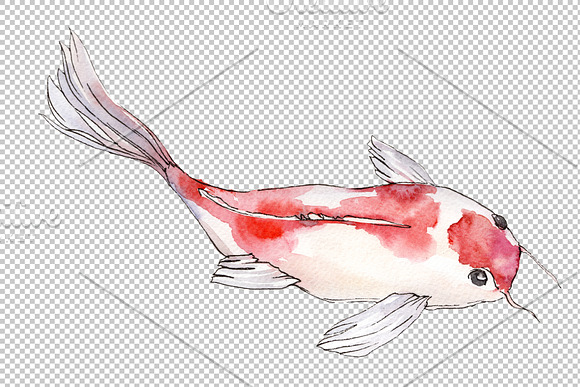 Goldfish-2 Watercolor png in Illustrations - product preview 4