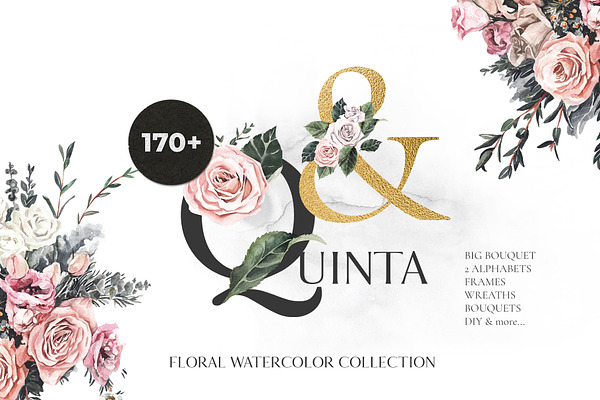-50% QUINTA rose floral watercolor