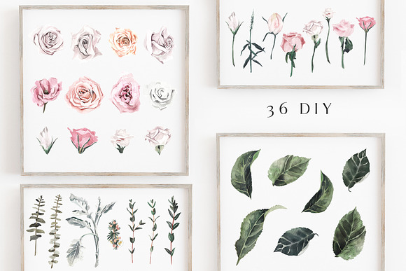 -50% QUINTA rose floral watercolor in Illustrations - product preview 12