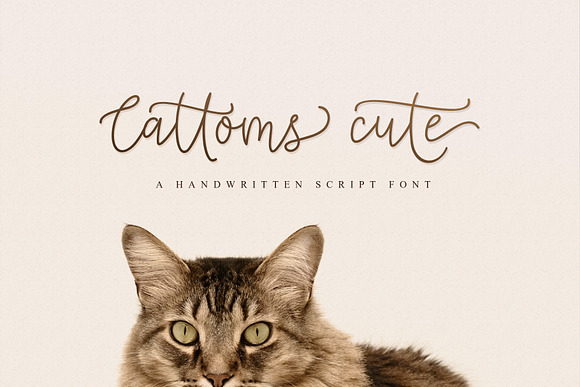 Cattoms Cute Script Fonts in Cute Fonts - product preview 6